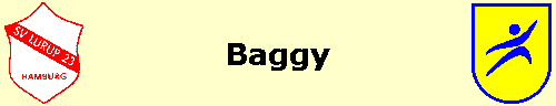  Baggy 